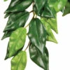 Exo Terra Hanging Ficus Large 23" -Natural Pet Care Shop exo terra exo terra hanging ficus large 23 30167.1654201735