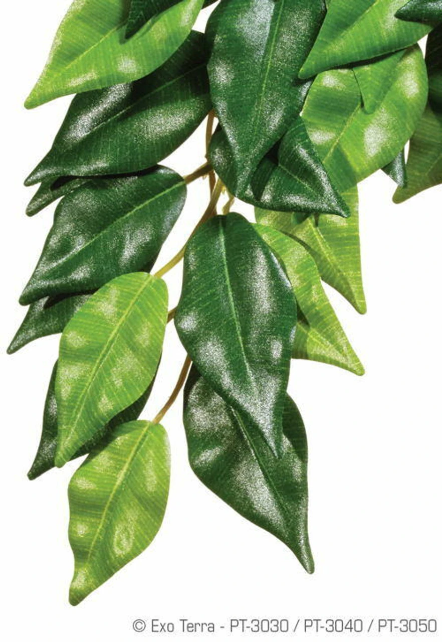 Exo Terra Hanging Ficus Medium 17" 3 Exo Terra Hanging Ficus Medium 17"