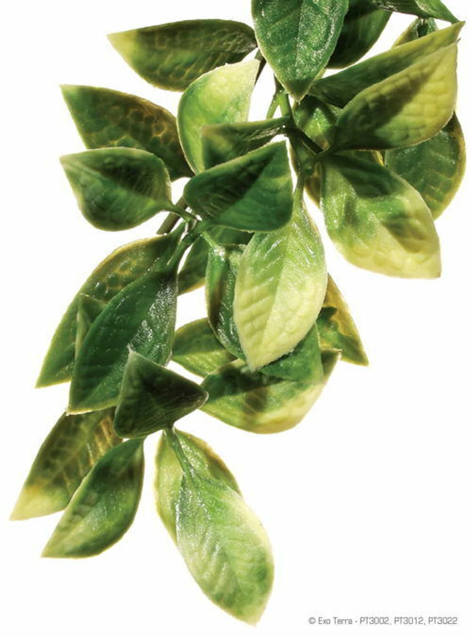 Exo Terra Hanging Mandarin Plant (Large 20" Long) 3 Exo Terra Hanging Mandarin Plant (Large 20" Long)
