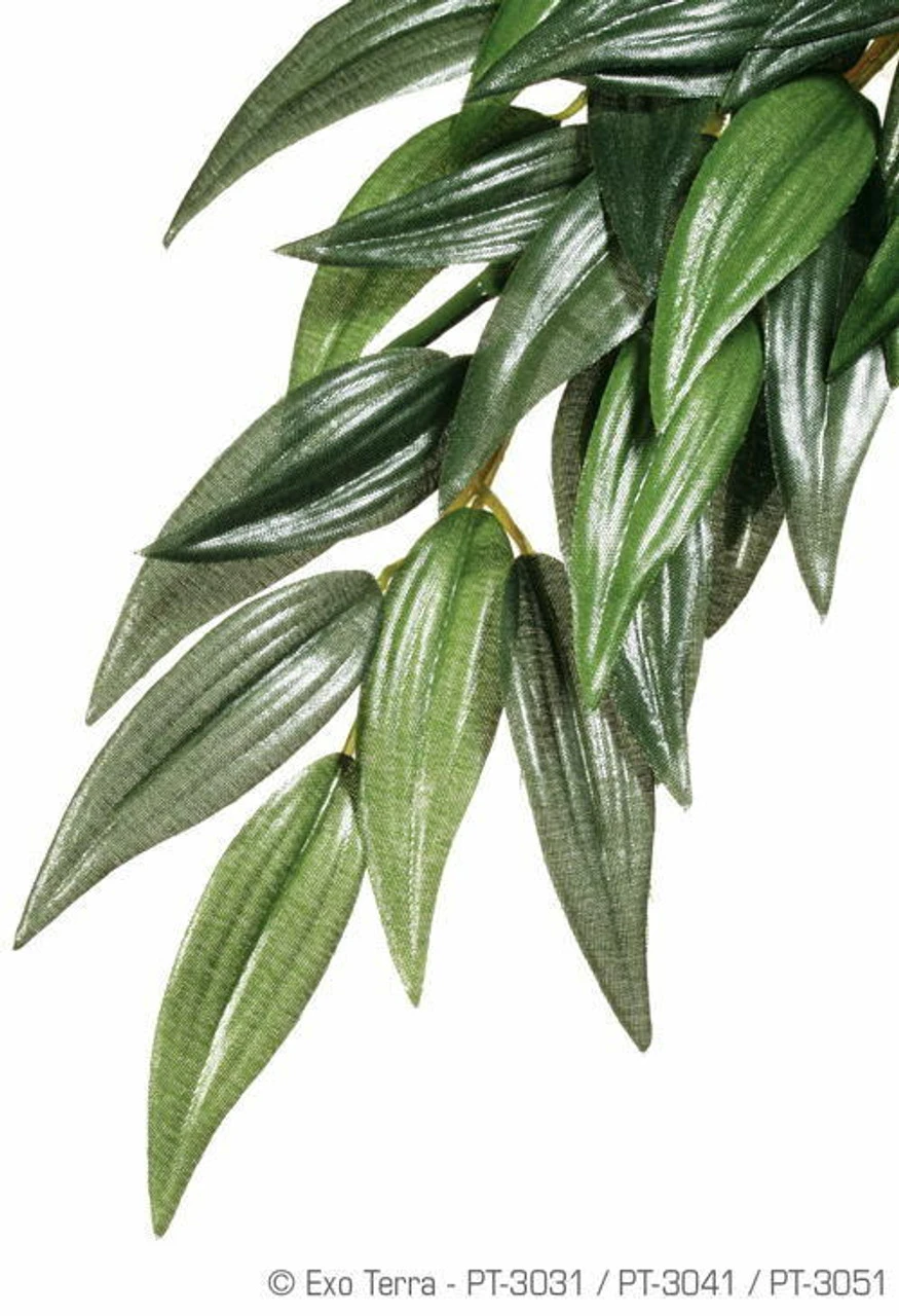 Exo Terra Hanging Ruscus Plant (Small 12" Long) 3 Exo Terra Hanging Ruscus Plant (Small 12" Long)