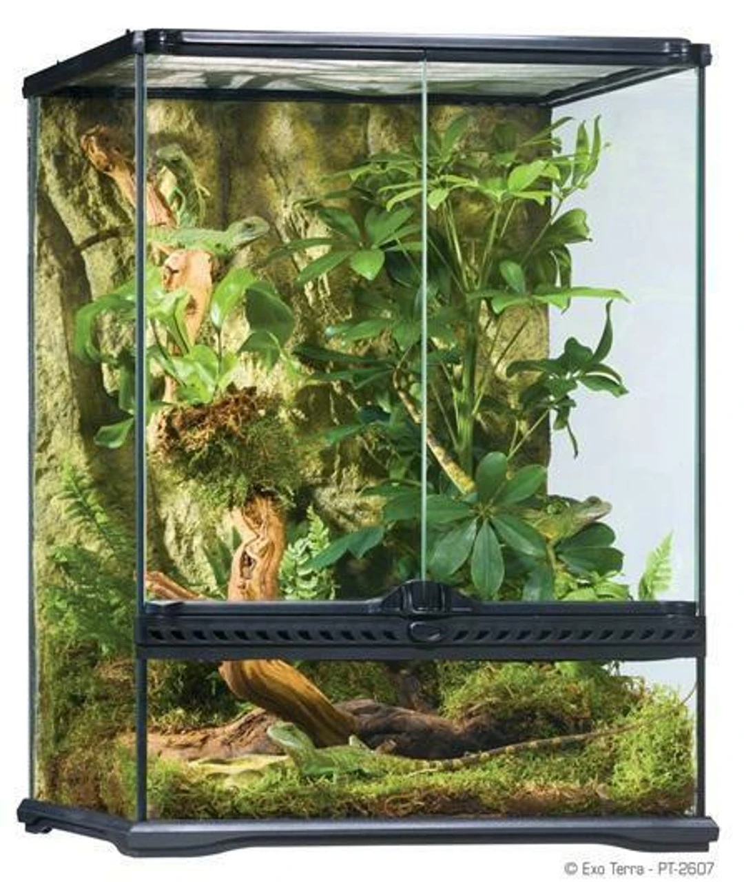 EXO TERRA SMALL TALL TERRARIUM (18" X 18" X 24") *PICK UP ONLY 4 EXO TERRA SMALL TALL TERRARIUM (18" X 18" X 24") *PICK UP ONLY - Image 2