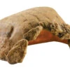 Exo Terra Tortoise Cave 15"x 9"x 7"H -Natural Pet Care Shop exo terra exo terra tortoise cave 15x 9x 7h 51688.1669137780