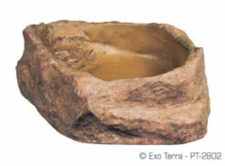 Exo Terra Water Dish (Medium)