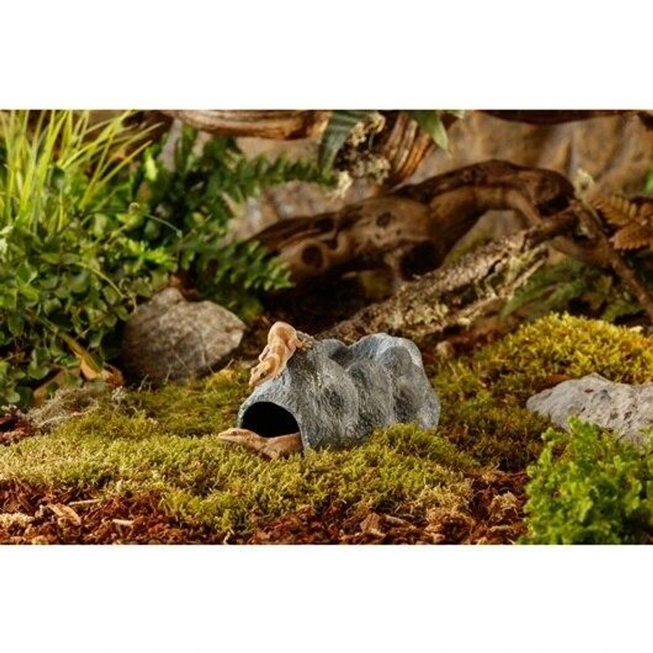 Exo Terra Wet Rock (Large) 4 Exo Terra Wet Rock (Large) - Image 2