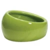 EXO TERRA Worm Dish 14oz Green Ceramic -Natural Pet Care Shop exo terra worm dish 14oz green ceramic 36673.1687636810