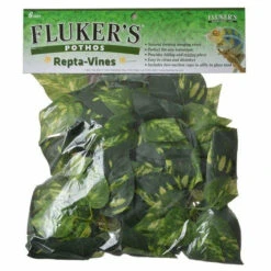 Fluker's Repta-Vines 6ft, Pothos
