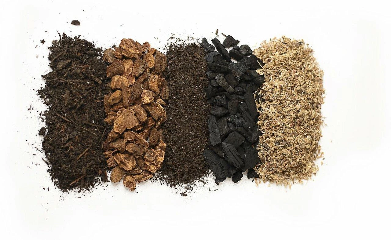 Galapagos Bioactive Soil Tropical Soil Substrate Reptile Bedding - 24 Qt 5 Galapagos Bioactive Soil Tropical Soil Substrate Reptile Bedding - 24 Qt - Image 3