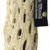 Galapagos Cholla Wood Branches 24" -Natural Pet Care Shop galapagos galapagos cholla wood branches 24 42358.1675967124