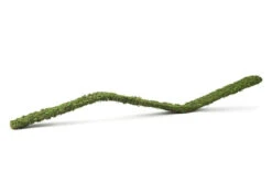 Galapagos Moss Flex Bridge 36"