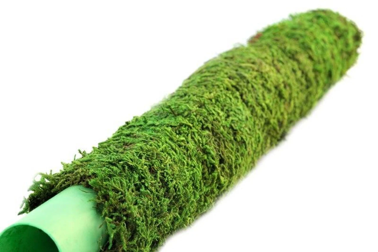 Galapagos Moss Poles 30" 3 Galapagos Moss Poles 30"