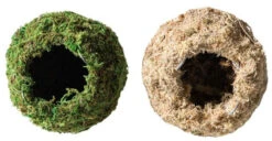 Galapagos Mossy Caves, Blond, 4" Diameter For Hiding & Humidity 7 Galapagos Mossy Caves, Blond, 4" Diameter For Hiding & Humidity -Natural Pet Care Shop galapagos galapagos mossy caves blond 4 diameter for hiding and humidity 66832.1620675339