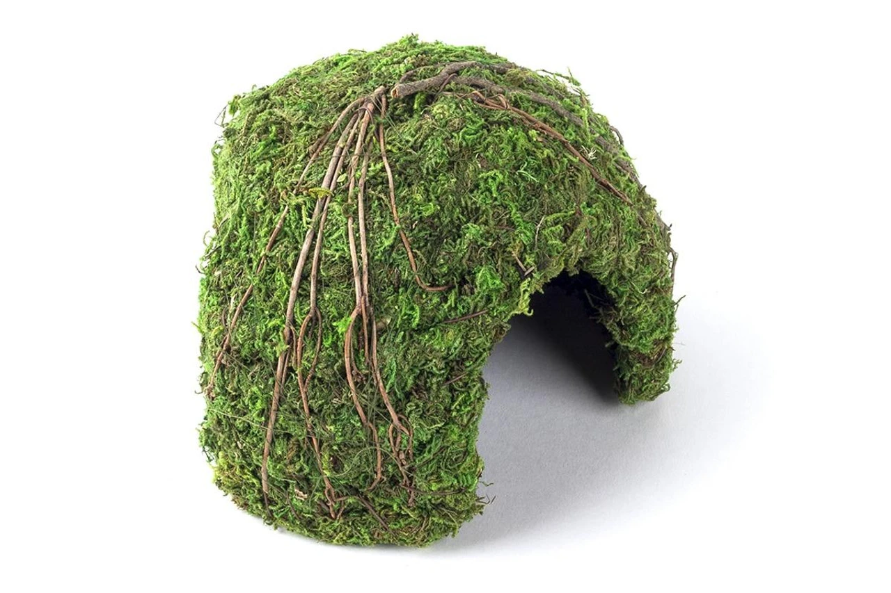 Galapagos Mossy Dome/Hide/Cave, Green, 6" Diameter 4 Galapagos Mossy Dome/Hide/Cave, Green, 6" Diameter - Image 2