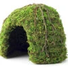 Galapagos Mossy Dome/Hide/Cave, Green, 6" Diameter