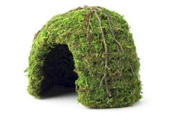 Galapagos Mossy Dome/Hide/Cave, Green, 6" Diameter
