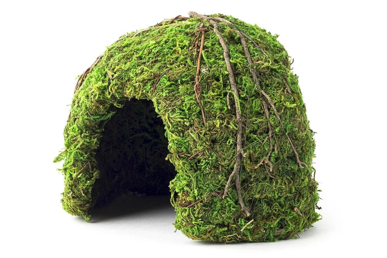 Galapagos Mossy Dome/Hide/Cave, Green, 6" Diameter 3 Galapagos Mossy Dome/Hide/Cave, Green, 6" Diameter