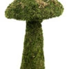 Galapagos Mossy Mushroom Green, 11"