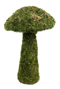 Galapagos Mossy Mushroom Green, 11"