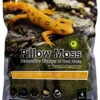 Galapagos Pillow Moss 4QT -Natural Pet Care Shop galapagos galapagos pillow moss 4qt 20465.1620676184