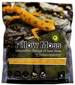 Galapagos Pillow Moss 4QT