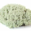 Galapagos Reindeer Moss -Natural Pet Care Shop galapagos galapagos reindeer moss 55367.1620672811