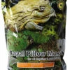 Galapagos Royal Pillow Moss Decorative Clumps Of Real Moss For Tropical & Forest Tanks 8Qt. -Natural Pet Care Shop galapagos galapagos royal pillow moss decorative clumps of real moss for tropical and forest tanks 4qt 94494.1620675923