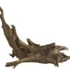 Galapagos Sinkable Drift Wood 14-16" -Natural Pet Care Shop galapagos galapagos sinkable drift wood 14 16 26856.1620676883