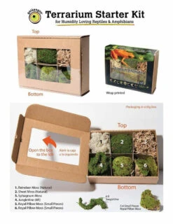 Galapagos Terrarium Starter Kits (Arid) 6 Galapagos Terrarium Starter Kits (Arid) -Natural Pet Care Shop galapagos galapagos terrarium starter kits arid 09525.1620674718