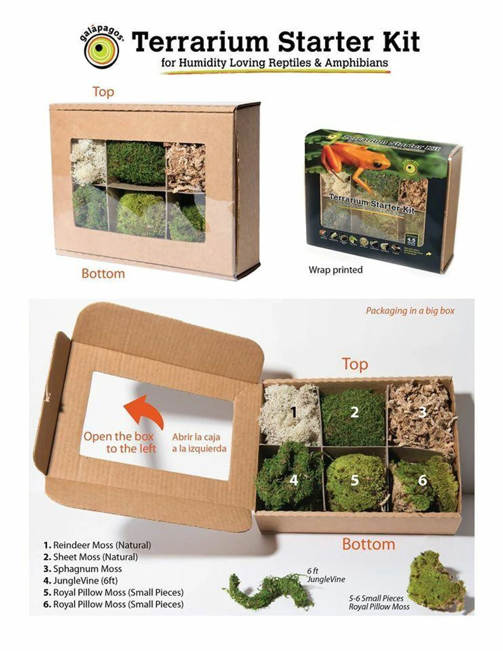 Galapagos Terrarium Starter Kits (Arid) 4 Galapagos Terrarium Starter Kits (Arid) - Image 2