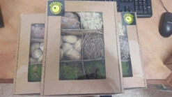 Galapagos Terrarium Starter Kits (Arid) 7 Galapagos Terrarium Starter Kits (Arid) -Natural Pet Care Shop galapagos galapagos terrarium starter kits arid 35241.1620675917