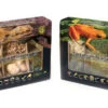 Galapagos Terrarium Starter Kits (Arid) 1 Galapagos Terrarium Starter Kits (Arid) -Natural Pet Care Shop galapagos galapagos terrarium starter kits arid 82803.1620672944