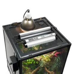 HabiStat Glass Terrarium* , 45 X 45 X 60cm (18 X 18 X 24"), Flat-Packed -Natural Pet Care Shop habistat glass terrarium 45 x 45 x 60cm 18 x 18 x 24 flat packed 49239.1695252920