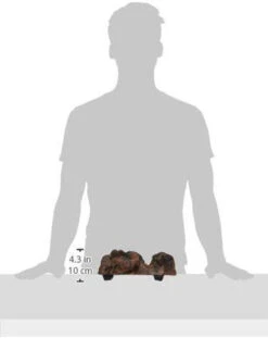 MagNaturals Mushroom Ledge, Medium