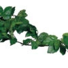 MagNaturals Tropical Vine Cluster