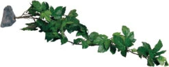 MagNaturals Tropical Vine Cluster