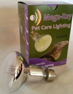 Mega-Ray 70 Watt Smallest Mercury Vapor Bulb