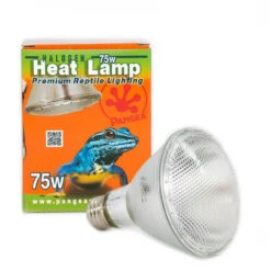 Pangea 50w Pangea Halogen Heat Lamp-4pk