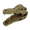Pangea Crocodile Skull -Natural Pet Care Shop pangea pangea crocodile skull 23137.1630684913