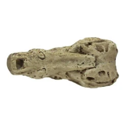 Pangea Crocodile Skull -Natural Pet Care Shop pangea pangea crocodile skull 85513.1630684913