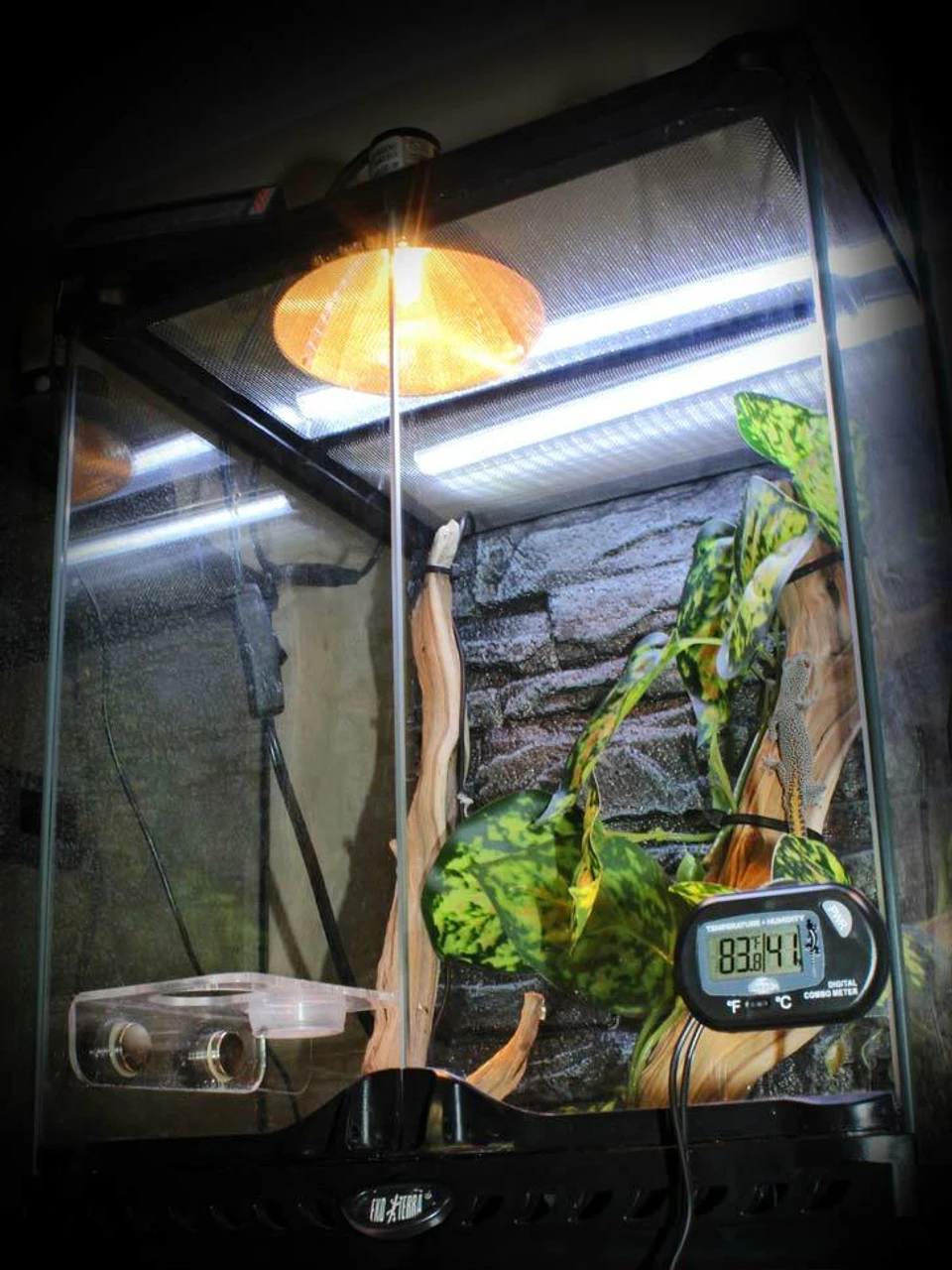 Pangea Digital Combo Thermometer (Temperature) Humidity Gauge / Hygrometer 9 Pangea Digital Combo Thermometer (Temperature) Humidity Gauge / Hygrometer - Image 7