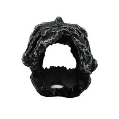 Pangea Dinosaur Skull Cave -Natural Pet Care Shop pangea pangea dinosaur skull cave 23772.1630684961