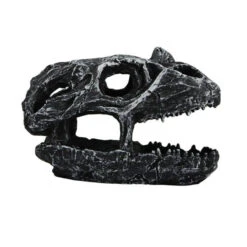 Pangea Dinosaur Skull Cave