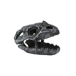 Pangea Dinosaur Skull Cave -Natural Pet Care Shop pangea pangea dinosaur skull cave 59067.1630684961