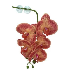 PANGEA HANGING ORCHIDS - ORANGE/YELLOW
