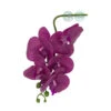 PANGEA HANGING ORCHIDS - PURPLE -Natural Pet Care Shop pangea pangea hanging orchids purple 23231.1671040532
