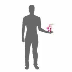 PANGEA HANGING ORCHIDS - WHITE -Natural Pet Care Shop pangea pangea hanging orchids white 01866.1677257900