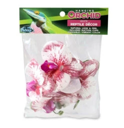 PANGEA HANGING ORCHIDS - WHITE -Natural Pet Care Shop pangea pangea hanging orchids white 04744.1677257900