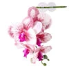 PANGEA HANGING ORCHIDS - WHITE 1 PANGEA HANGING ORCHIDS - WHITE -Natural Pet Care Shop pangea pangea hanging orchids white 62102.1677257900