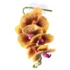PANGEA HANGING ORCHIDS - YELLOW -Natural Pet Care Shop pangea pangea hanging orchids yellow 05119.1671040582