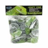 Pangea Leafy Vine Fittonia 2 Pangea Leafy Vine Fittonia -Natural Pet Care Shop pangea pangea leafy vine fittonia 76965.1634144333