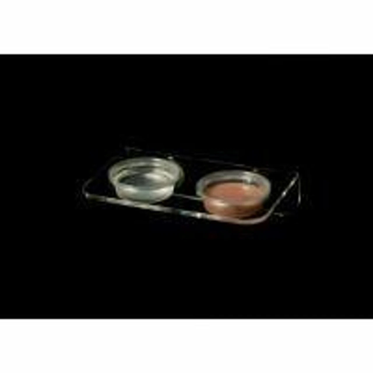 Pangea Magnetic Gecko Ledge - Acrylic Small